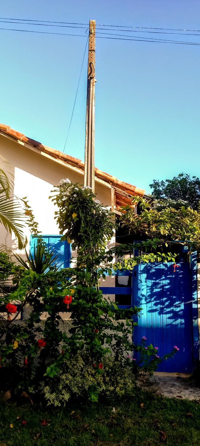 Property building, Day, Garden, Garden view
