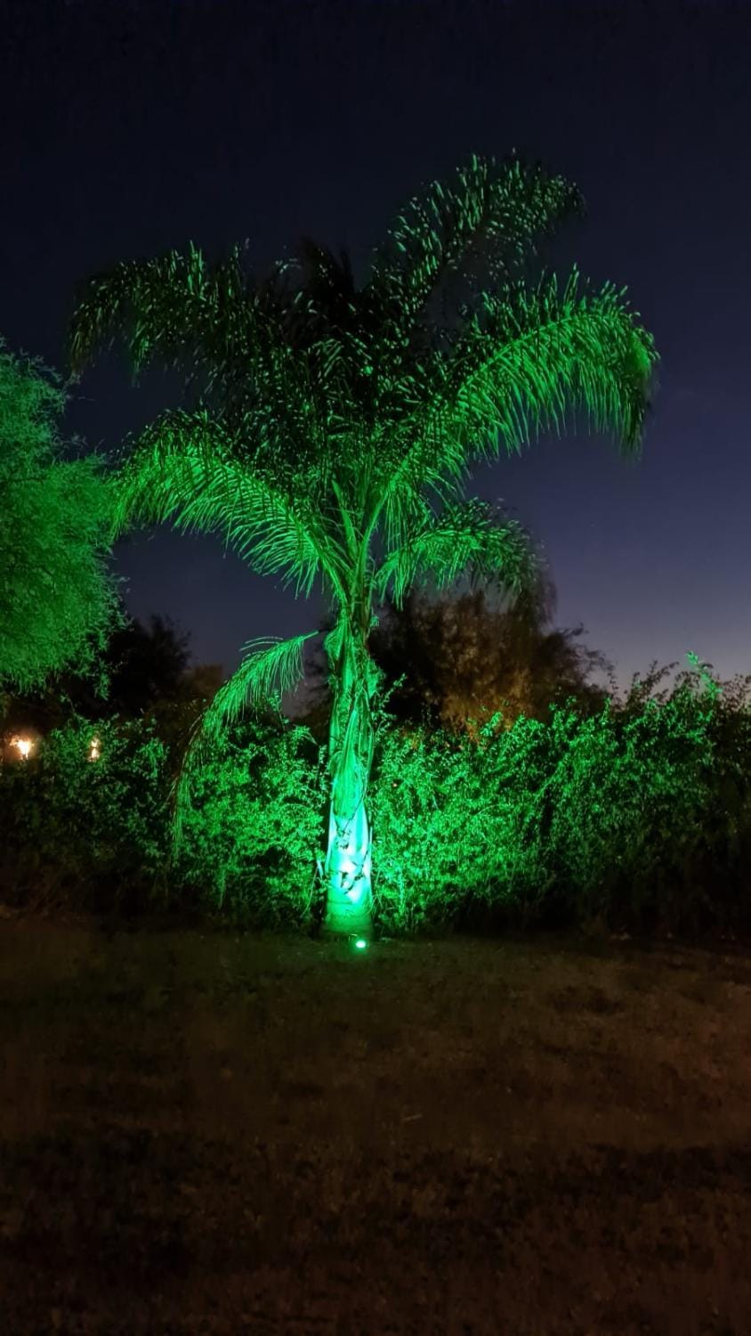 Night, Garden, Garden view