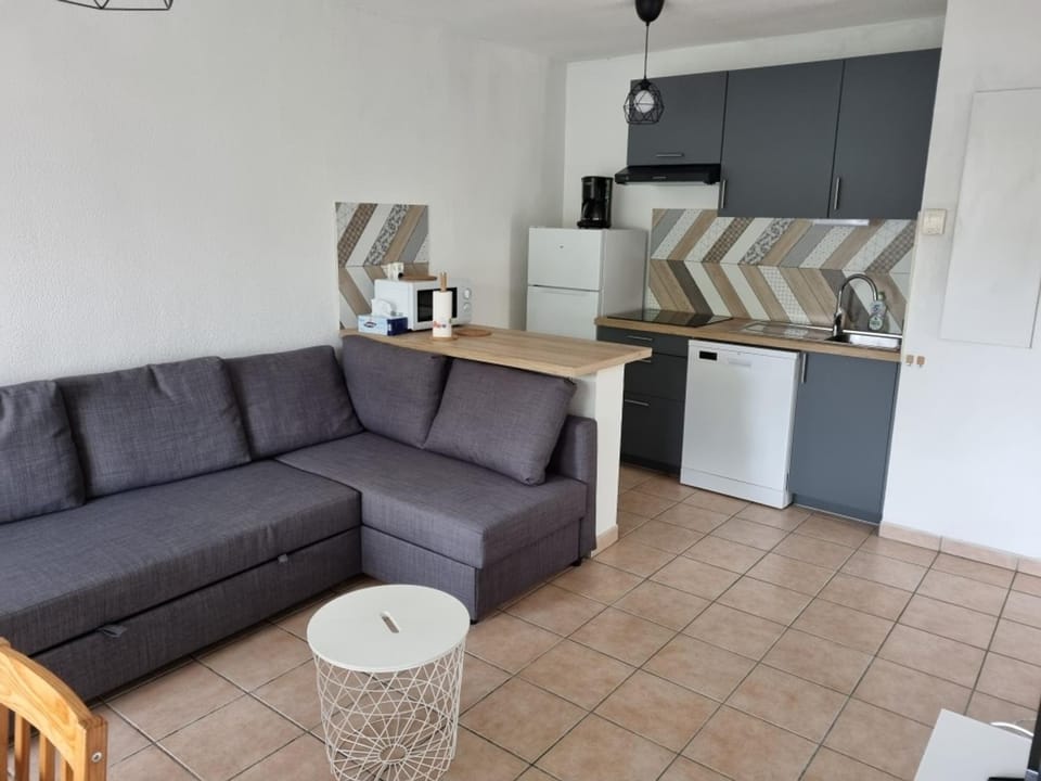 Appartement T2 avec piscine à Biscarrosse Bourg, proche plages du lac et océan, 4 pers, centre-ville - FR-1-319-454 Apartment in Parentis-en-Born