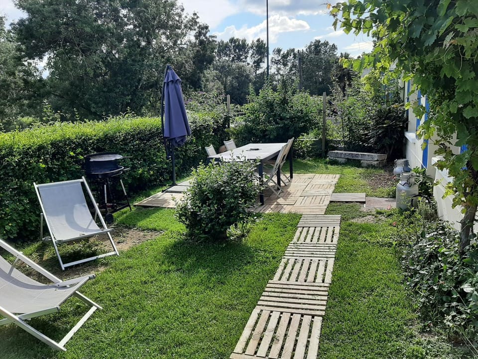 Patio, Garden