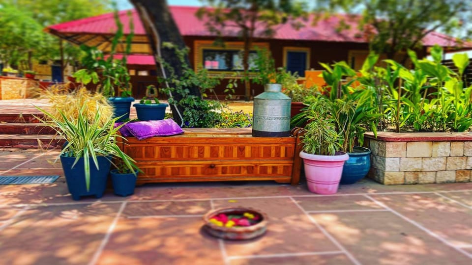 Garden, Garden view