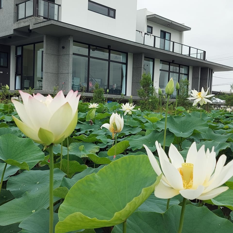 Property building, Garden, Garden