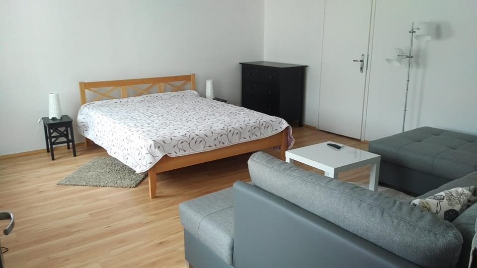 FSQH SECRET TOWER Apartment in Szeged