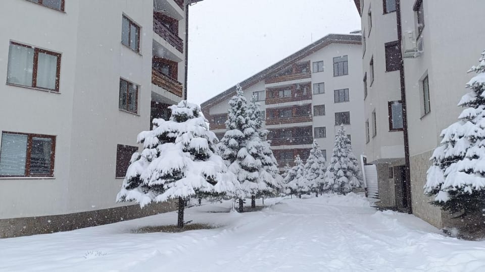 Day, Winter