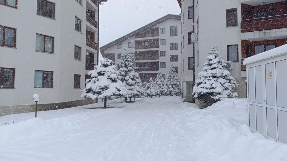 Day, Winter