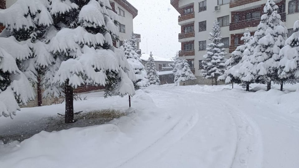 Day, Winter