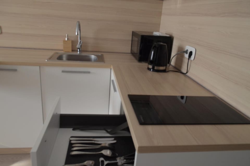 Coffee/tea facilities, Kitchen or kitchenette, minibar, stove