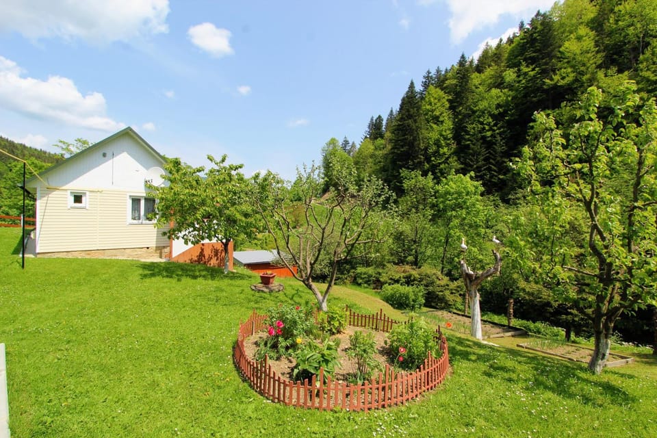 Property building, Spring, Day