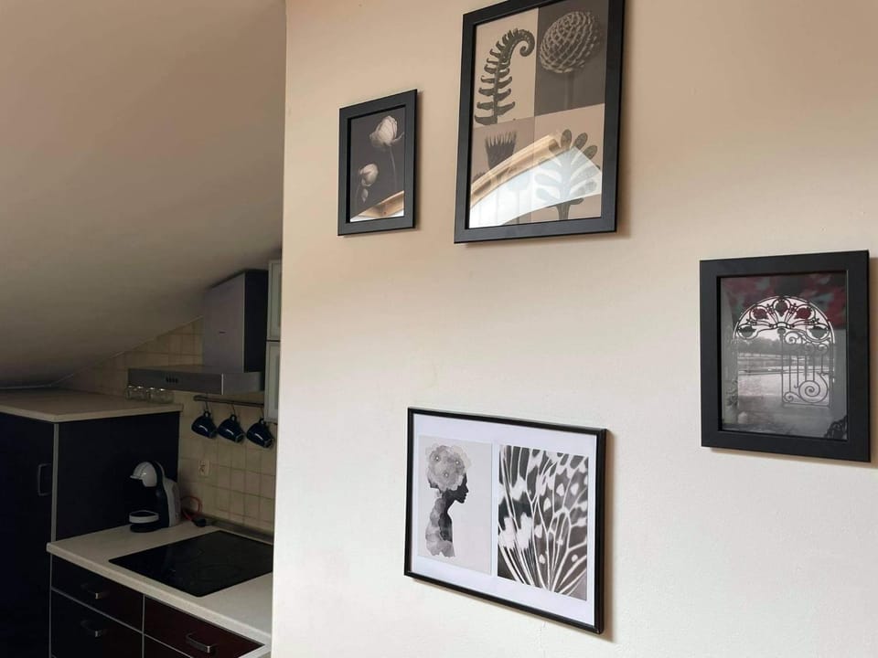Apartament Studio Nałęczów Apartment in Masovian Voivodeship