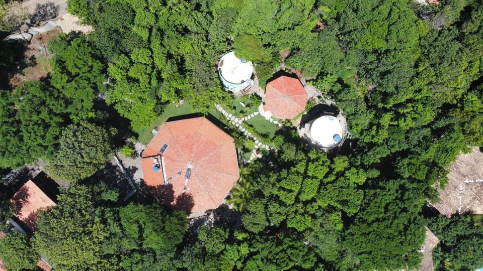 Bird's eye view, Garden view