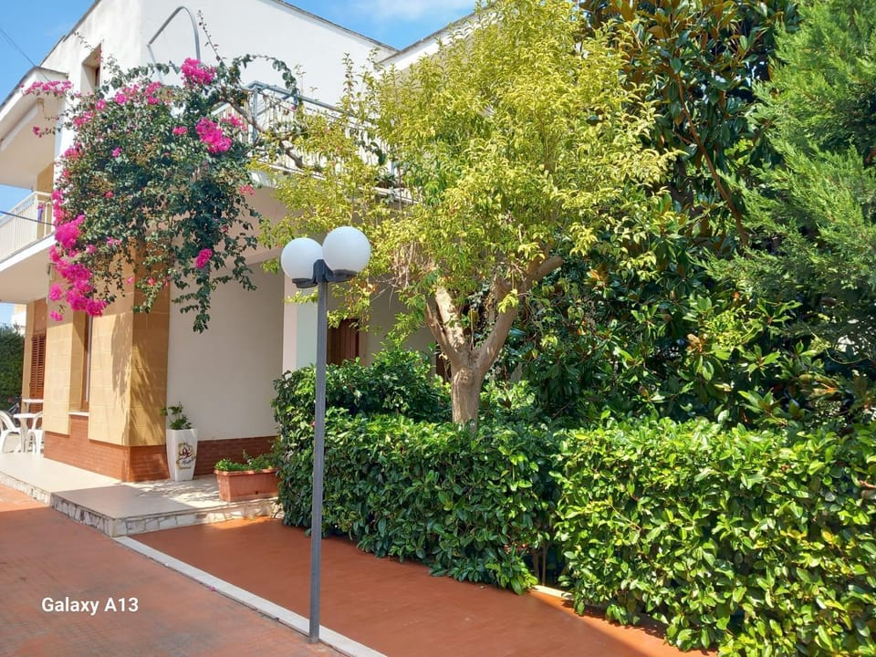 B & B La Magnolia Bed and Breakfast in Specchiolla