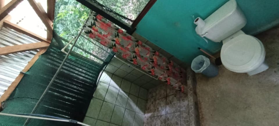 Corcovado Guide House y Cabaña La Tortuga Bed and Breakfast in Puntarenas Province
