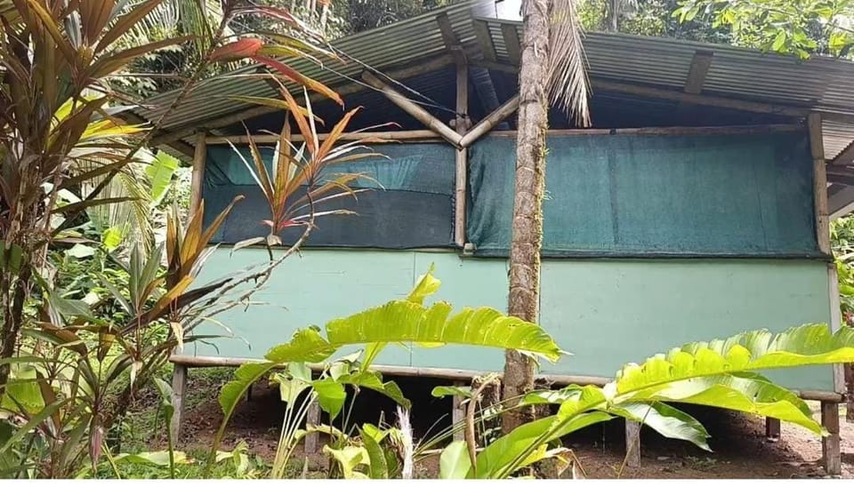 Corcovado Guide House y Cabaña La Tortuga Bed and Breakfast in Puntarenas Province