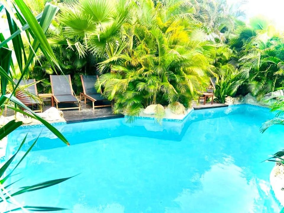 NEW HOUSE TROPIC PARADISE with Pool Apartment in Willemstad