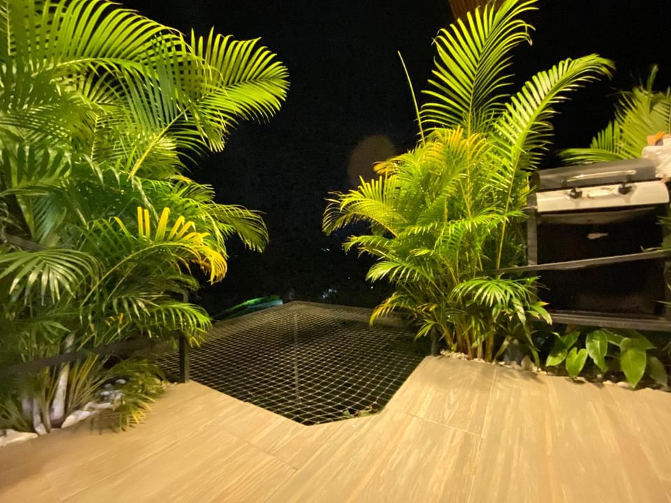 Garden view