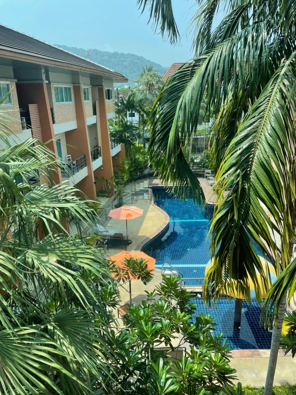 Garden, Pool view, Swimming pool