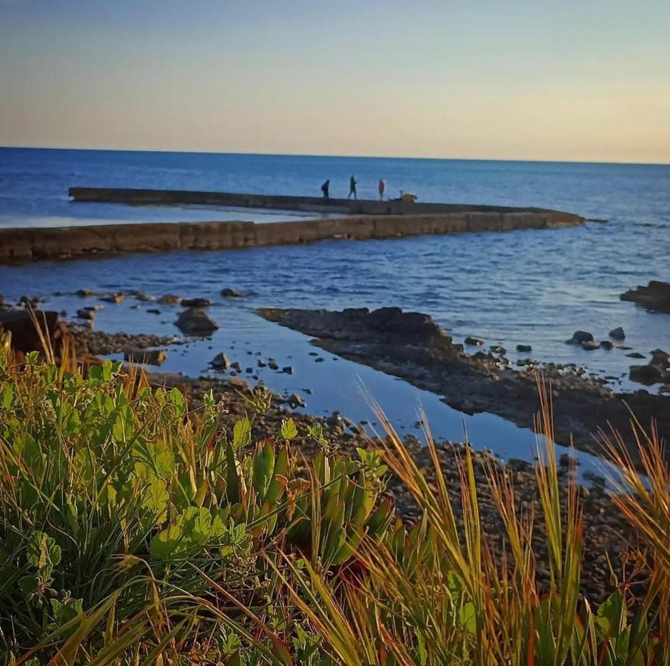 Punta Della Vipera House Apartment in Lazio