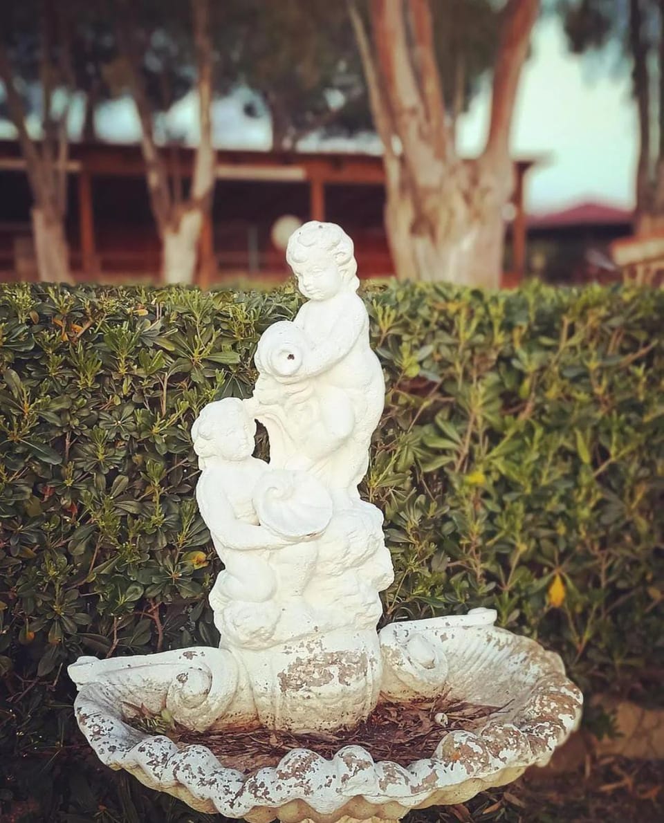 Punta Della Vipera House Apartment in Lazio