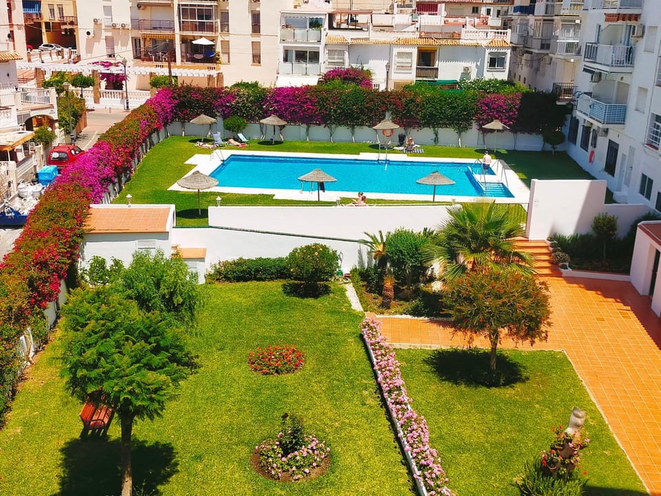 Pool view, Swimming pool