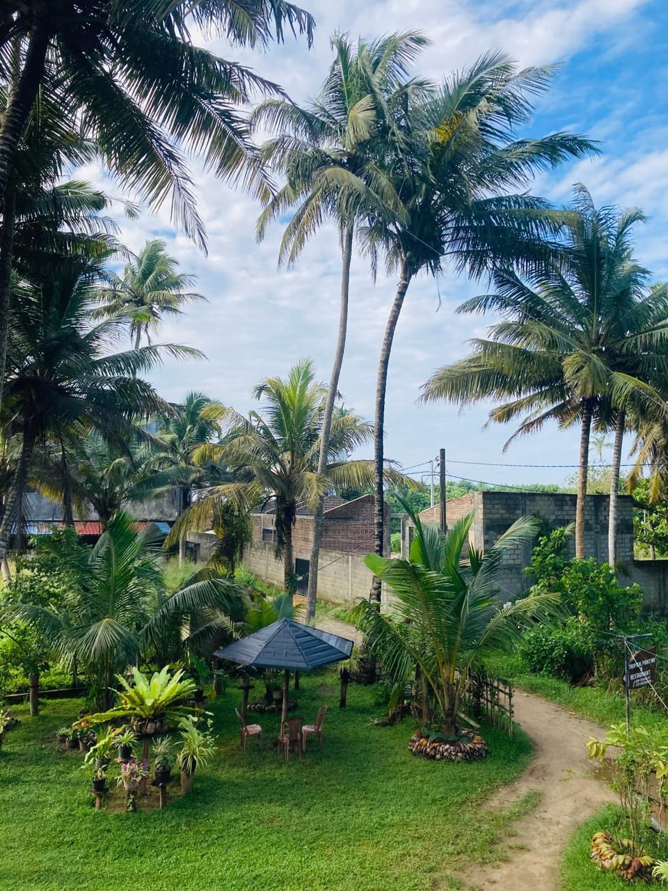 Day, Natural landscape, Garden, Garden view