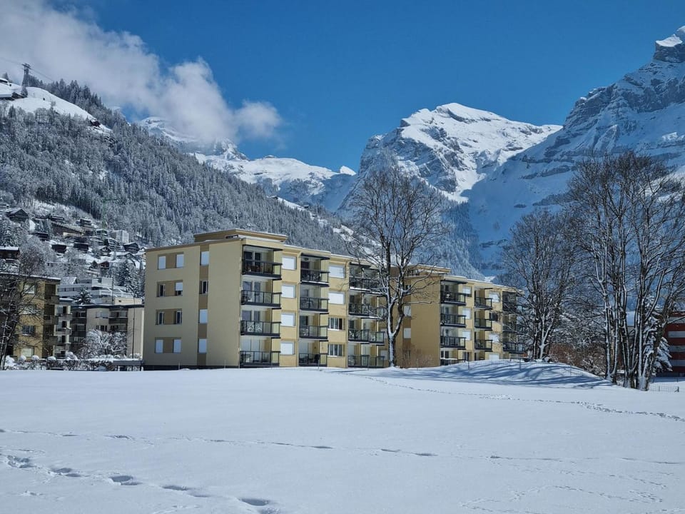 Apartment Erlenrain Wohnung 911 Appartement-Fewo 4-Bettwohnung by Interhome Apartment in Canton of Bern (Region)