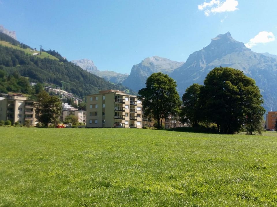 Apartment Erlenrain Wohnung 911 Appartement-Fewo 4-Bettwohnung by Interhome Apartment in Canton of Bern (Region)