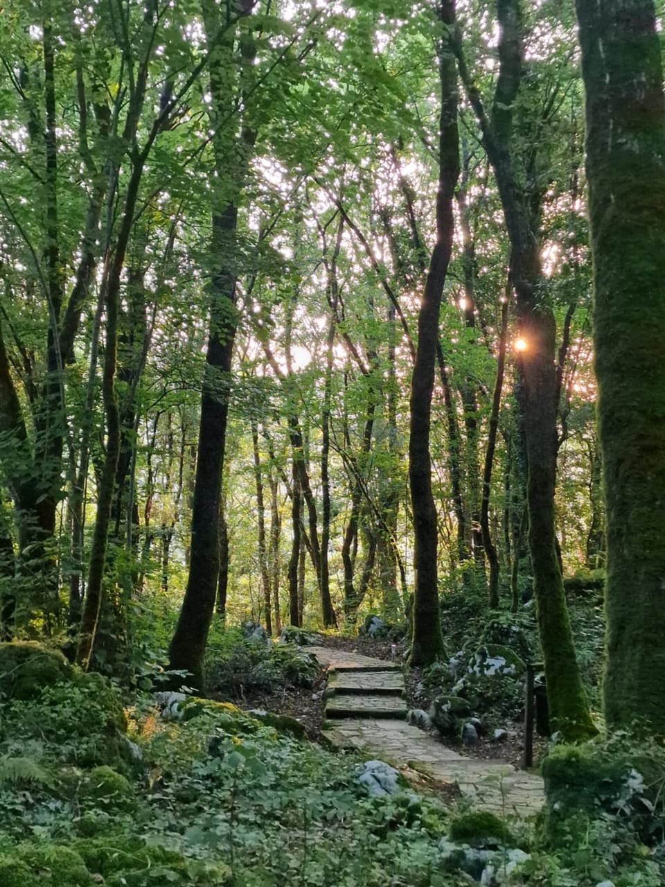 Natural landscape, Garden