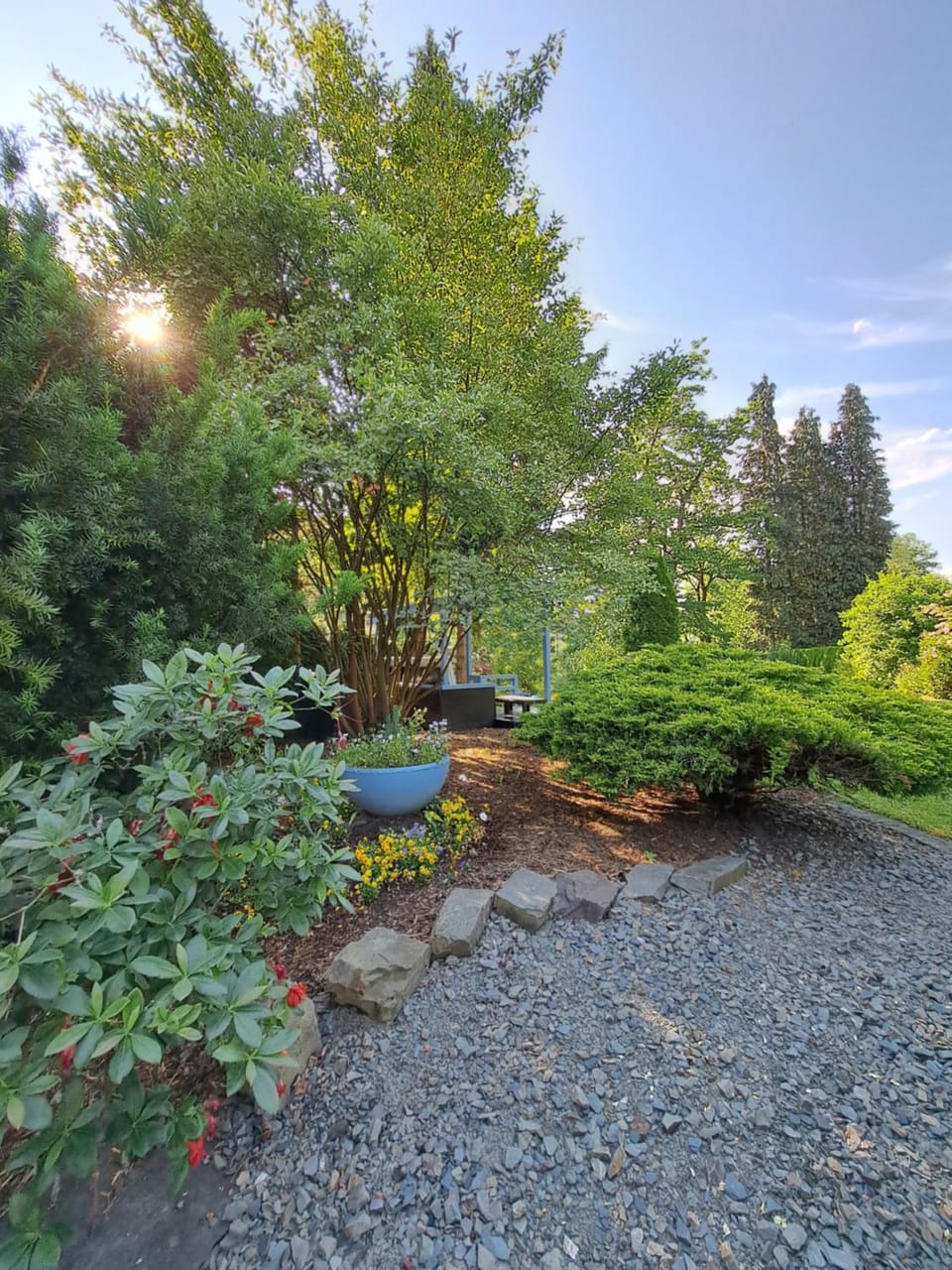 Spring, Garden