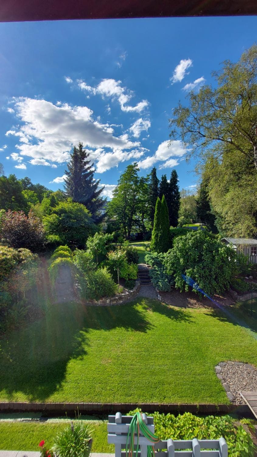 Spring, Garden, View (from property/room), Garden view