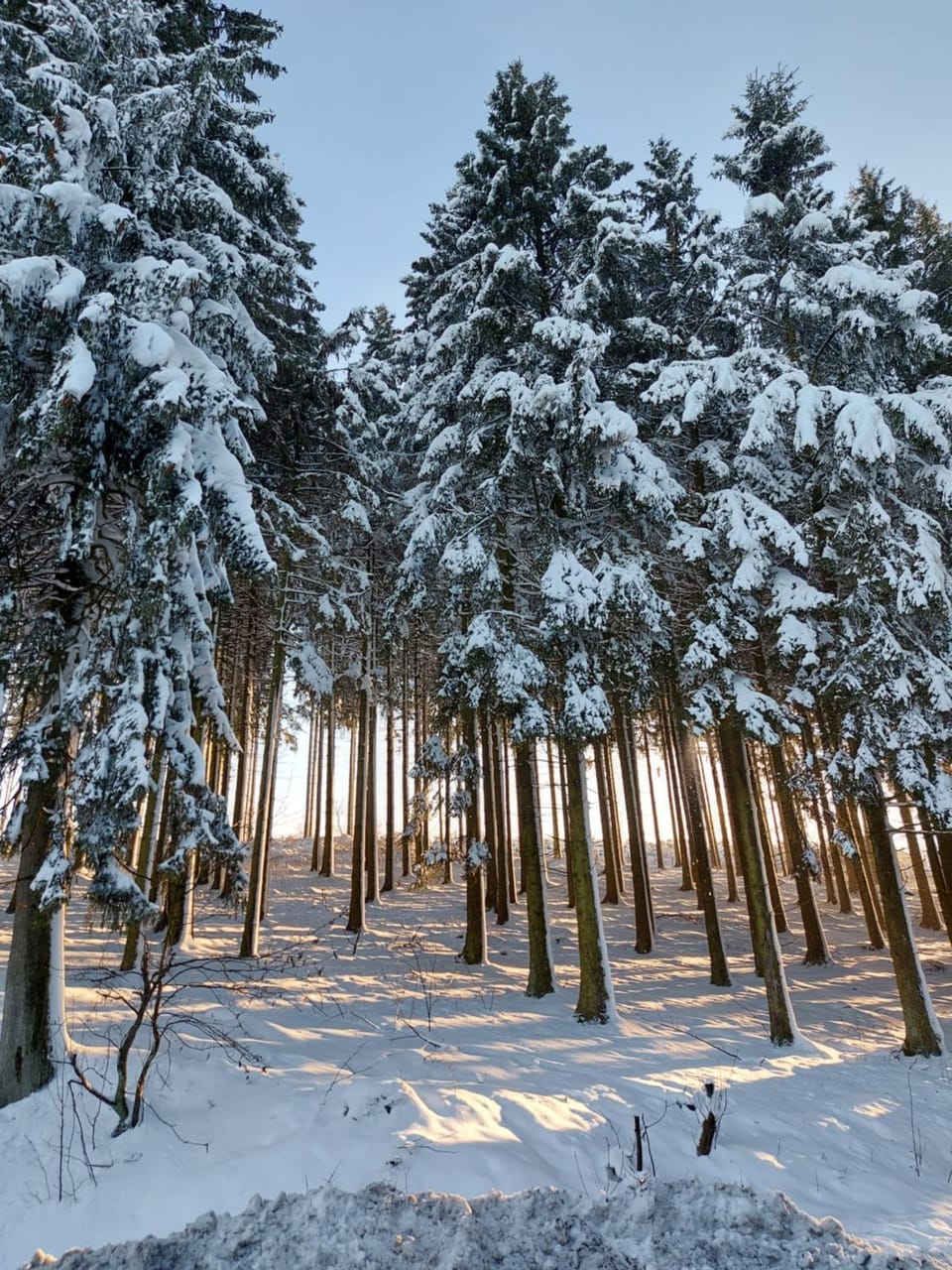 Winter, Area and facilities
