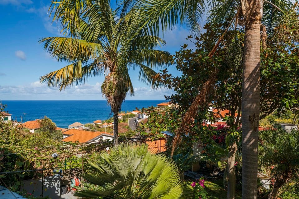 Natural landscape, Garden, Sea view