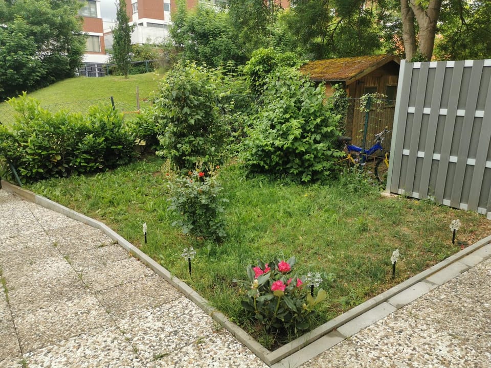 Garden, Garden view