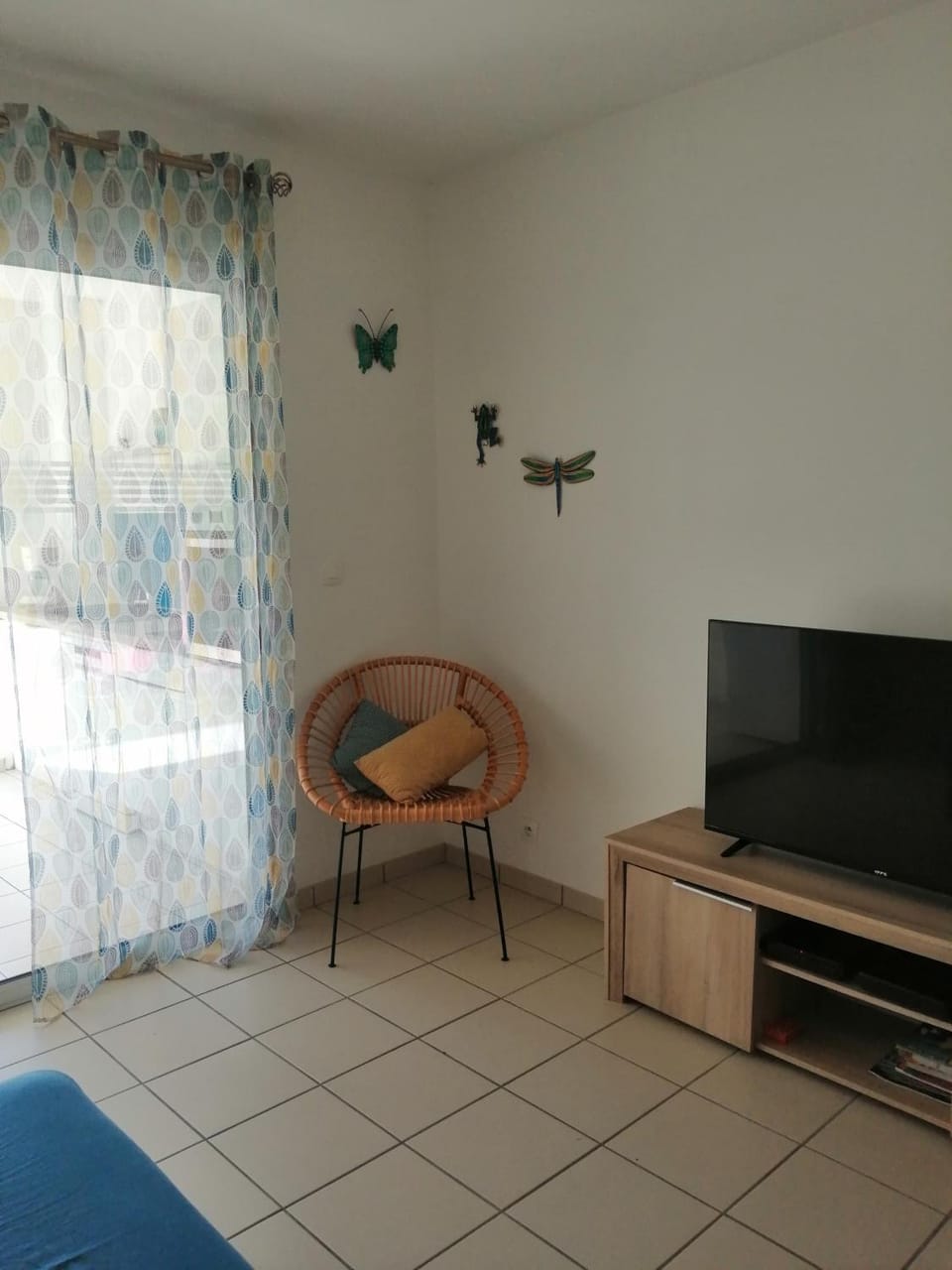 TV and multimedia