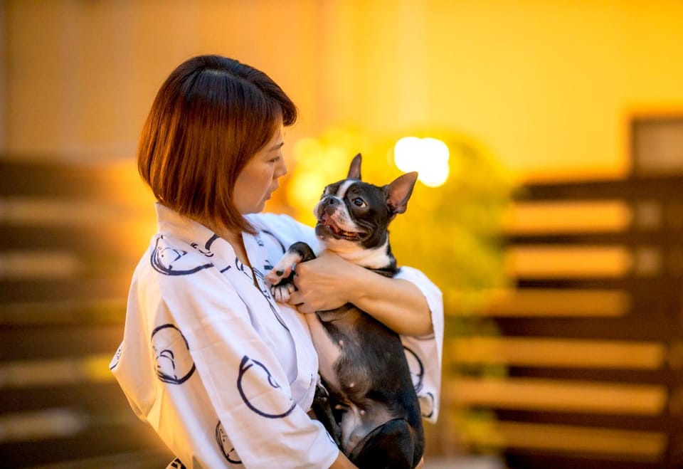 Pets, pet friendly