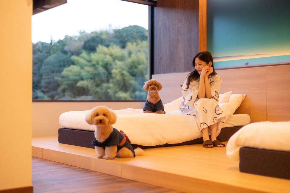 Bedroom, Pets, Pets, pet friendly, pet friendly