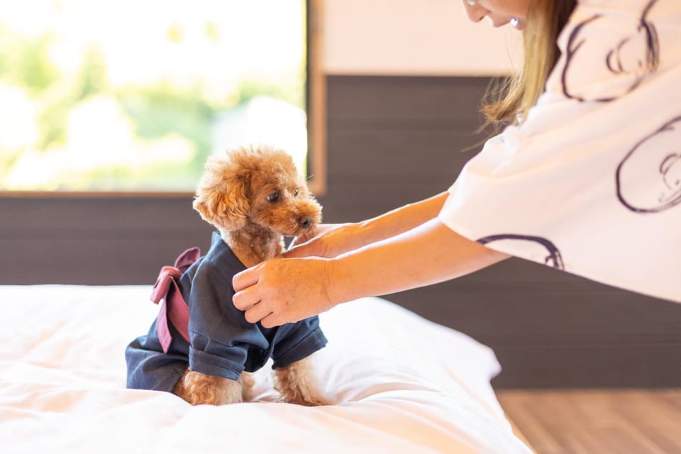 Pets, Pets, pet friendly
