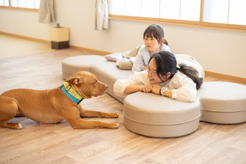 Animals, Animals, Pets, pet friendly, pet friendly