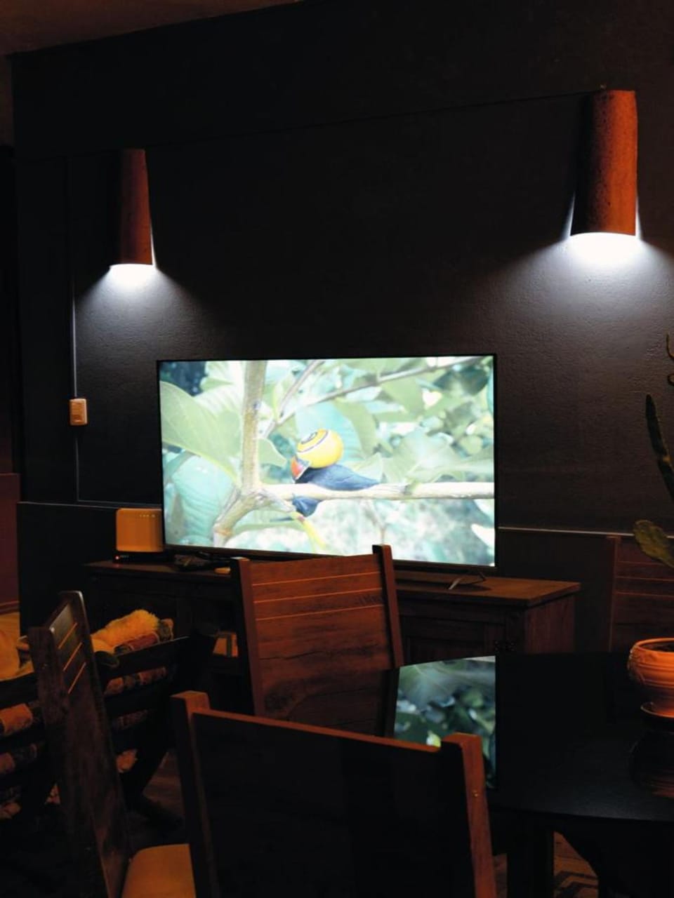TV and multimedia