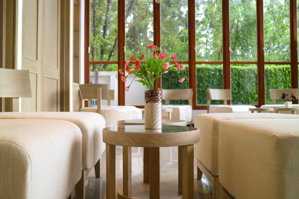 Living room, Seating area, Area and facilities