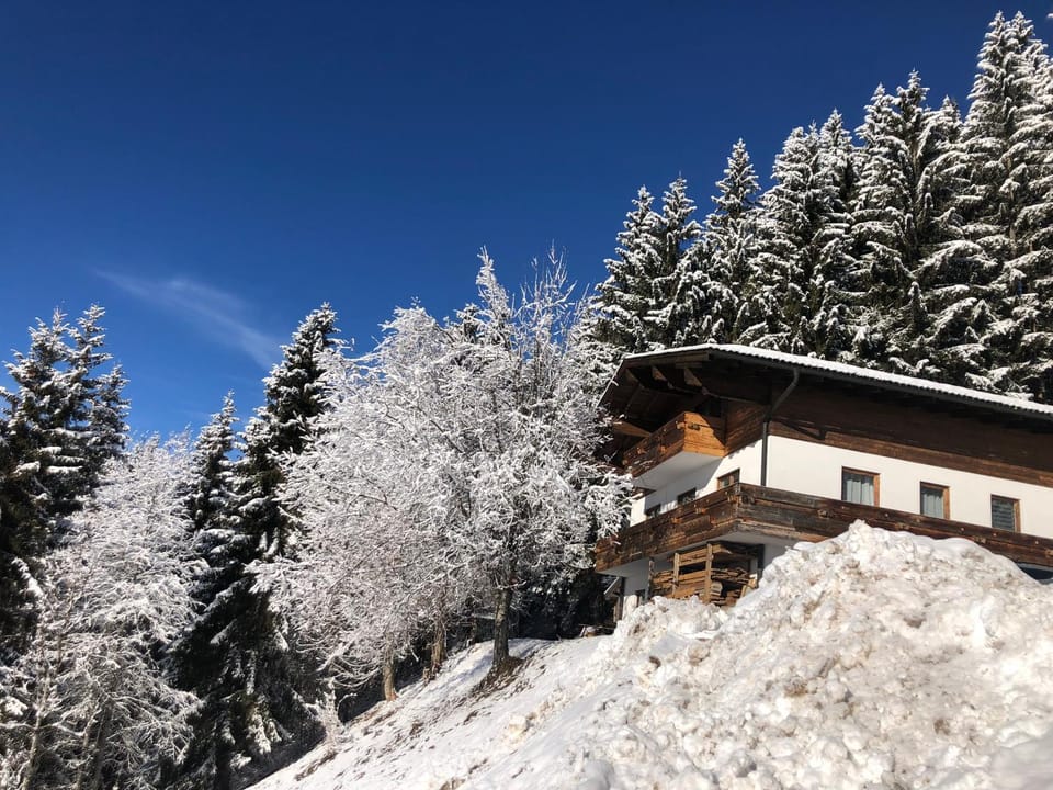Property building, Winter
