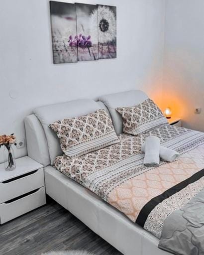 Opsesija SPA Apartment in Serbia