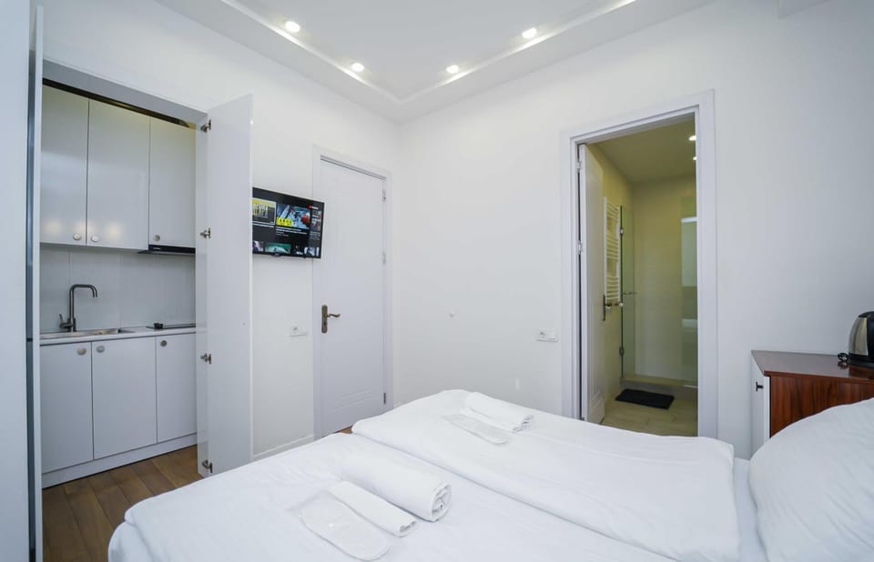 Hotel type room with mini kitchen and balcony on Melikishvili, city center Apartment in Tbilisi, Georgia