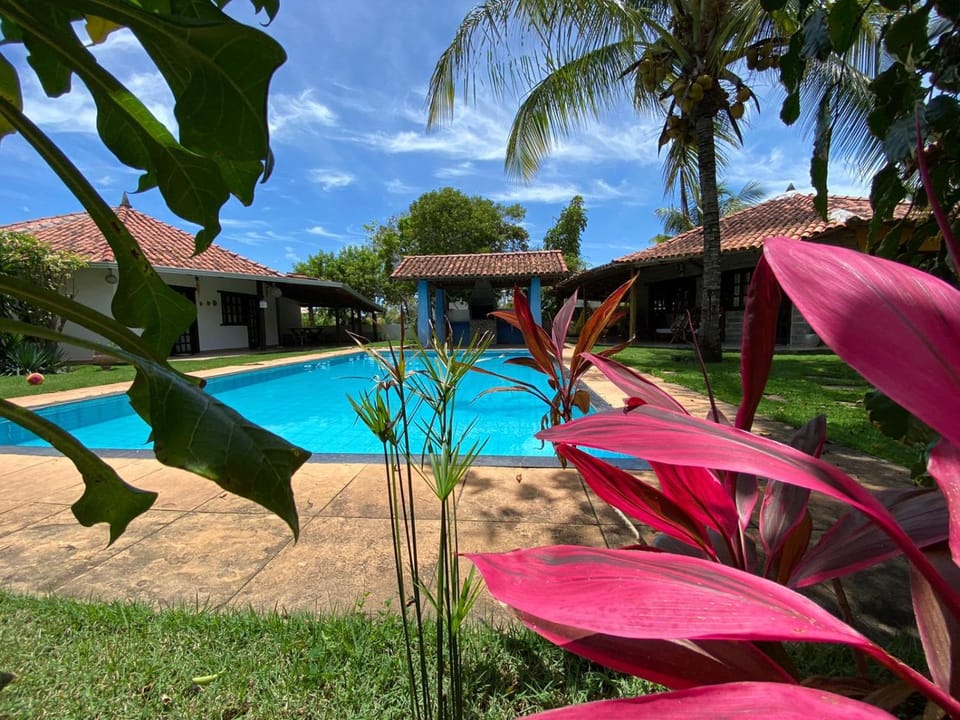 Garden view, Swimming pool