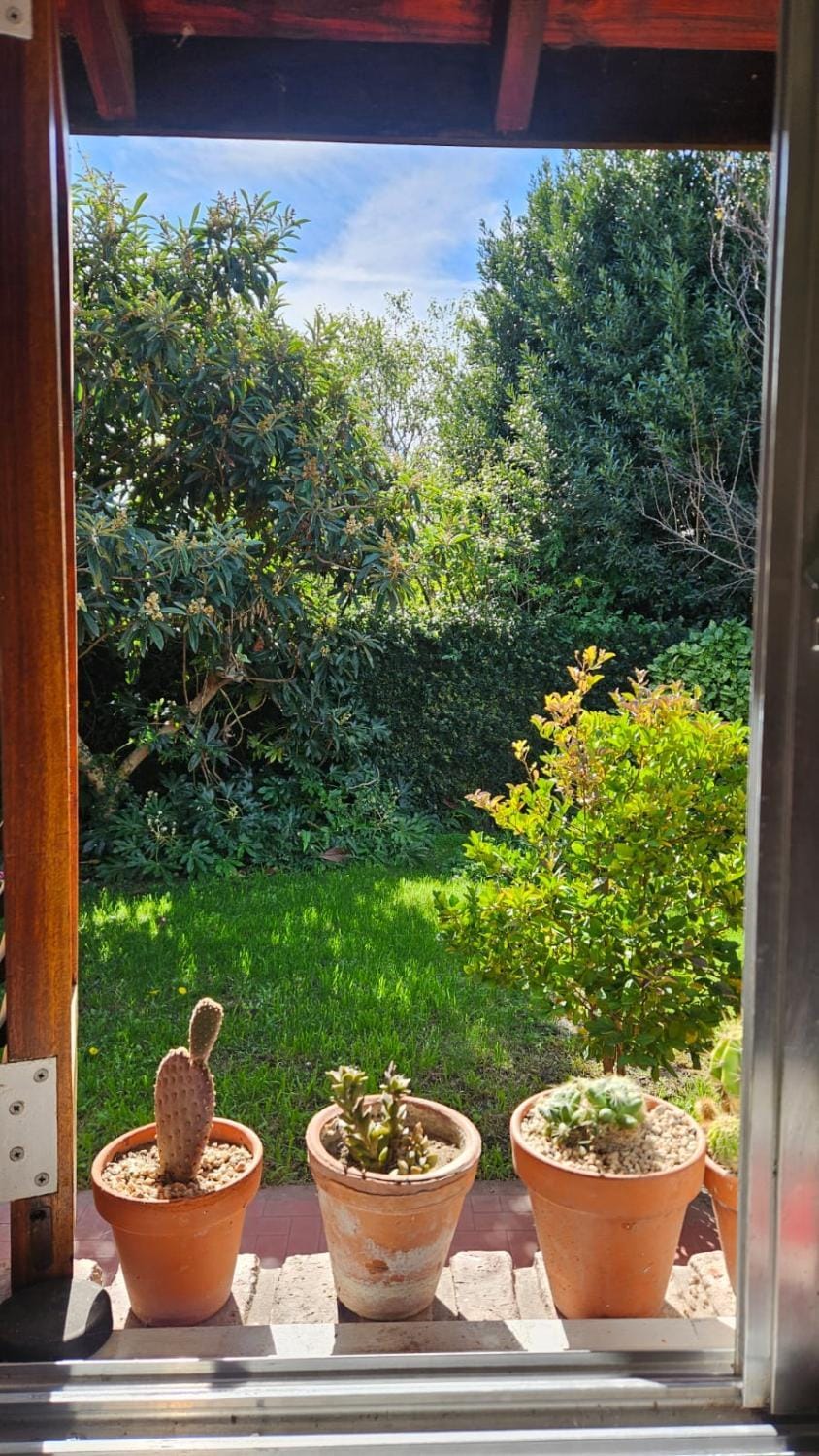 Garden, Garden view