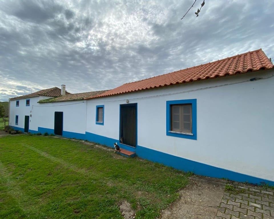 QUINTA DAS TEIMOSAS by Stay in Alentejo House in Setubal District