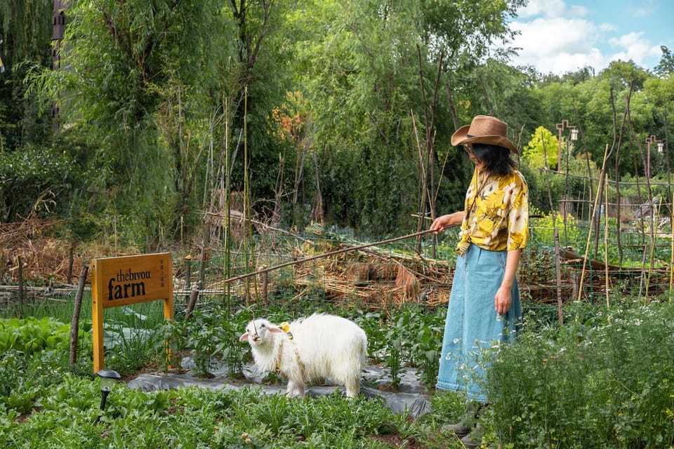 Animals, Garden view