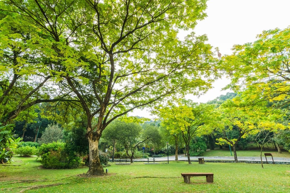 Garden, Guests, Sports, Family