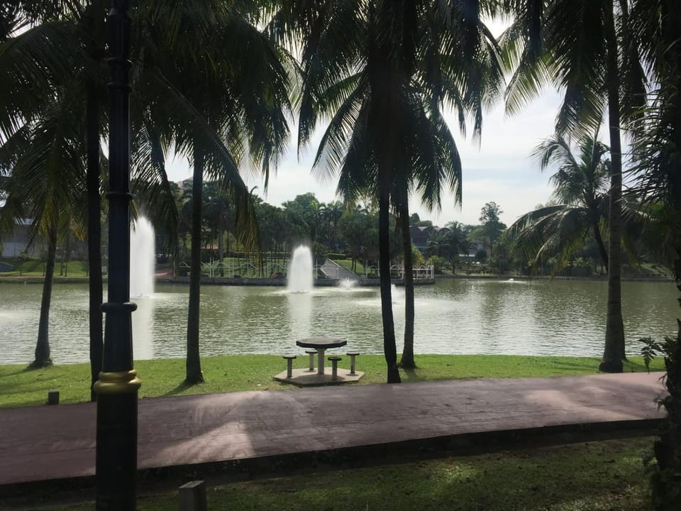 Natural landscape, Guests, Lake view