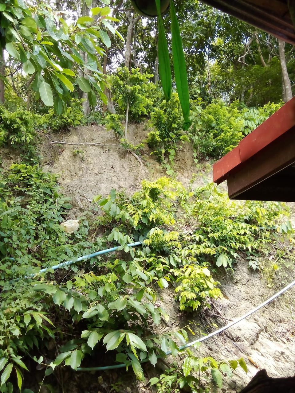 Day, Natural landscape, View (from property/room), View (from property/room)