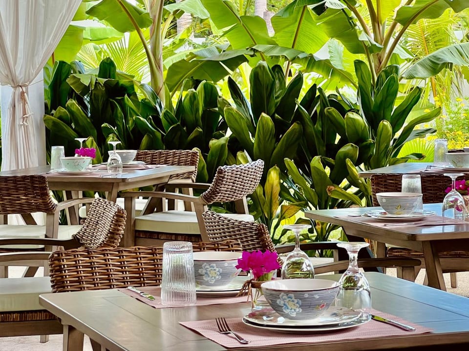 Restaurant/places to eat, Garden, Food, Breakfast, Continental breakfast, Asian breakfast